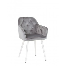 DASTER HN white (BOX-1) DM