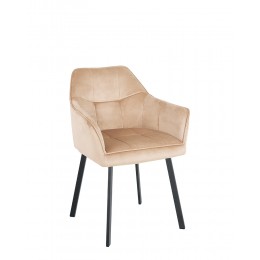 DASTER NXL antr (BOX-1) SQR