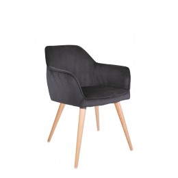 DASTER wood antr (BOX-1) ORMB