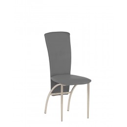 AMELY alu (BOX-4)