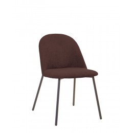 RAY antr (BOX-2)