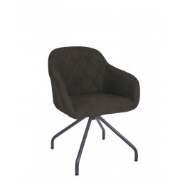 WESTER 4S antr